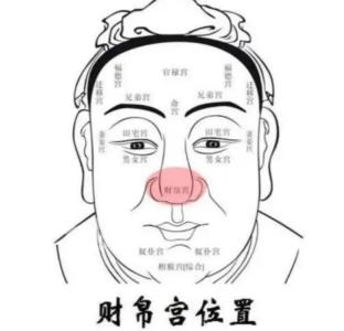 面相財帛宮怎么看，什么樣的鼻子一生富貴？