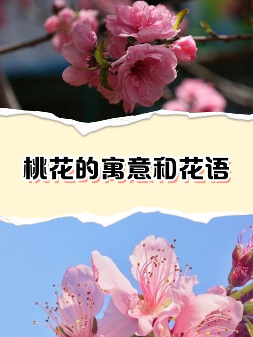 風水桃花是什么意思 桃花滿開春風迎