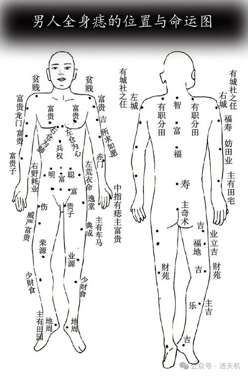 男人身上哪里長痣最好圖，全身痣相圖解
