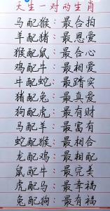 彼此不要過(guò)多縱容 豬生肖男和羊生肖女配嗎