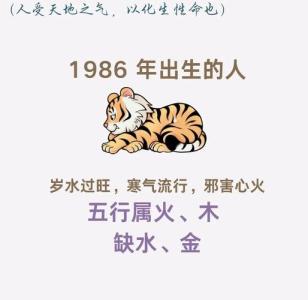 1986屬虎五行屬什么