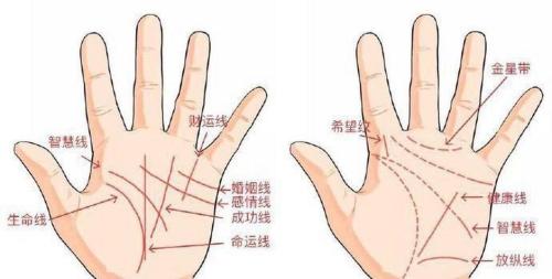 沒有姻緣線代表什么，注孤生嗎？