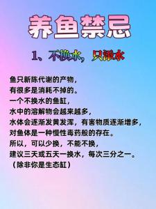辦公室養(yǎng)魚有哪些禁忌?