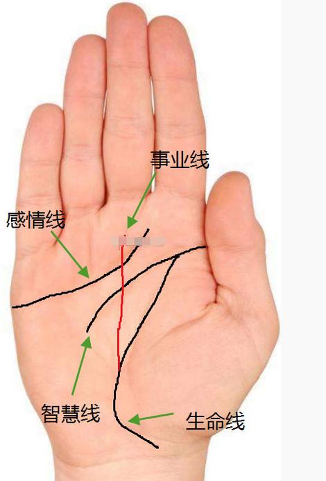 事業(yè)線起于生命線的女人是不是很能干