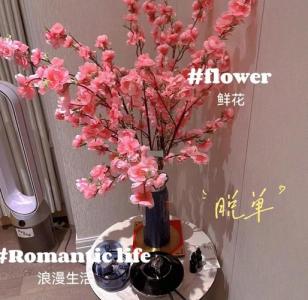花瓶催桃花風(fēng)水布局  宜擺放在桃花位的房間中