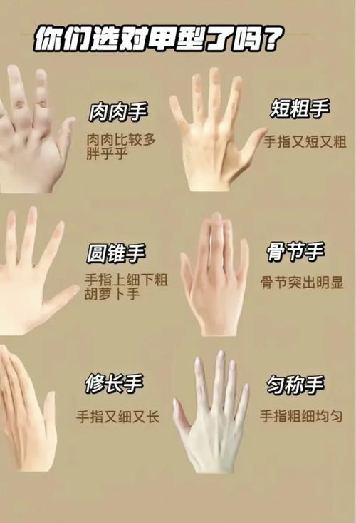 女人享福的手型有哪些