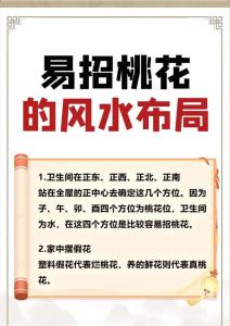 催旺桃花運的方法 桃花風水禁忌 桃花位分析