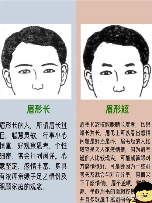 眉毛生得淡，喜歡偏安一隅的男人性格分析