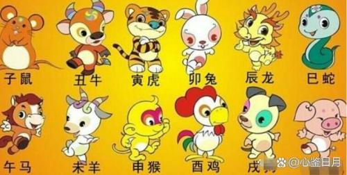 屬狗的爸爸屬鼠的媽媽能生屬猴的寶寶嗎