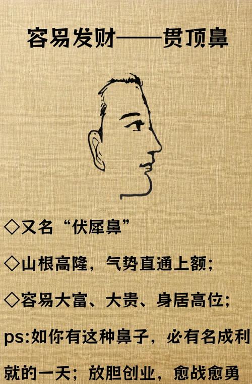 2021年鼻頭大的人的財運運勢怎么樣