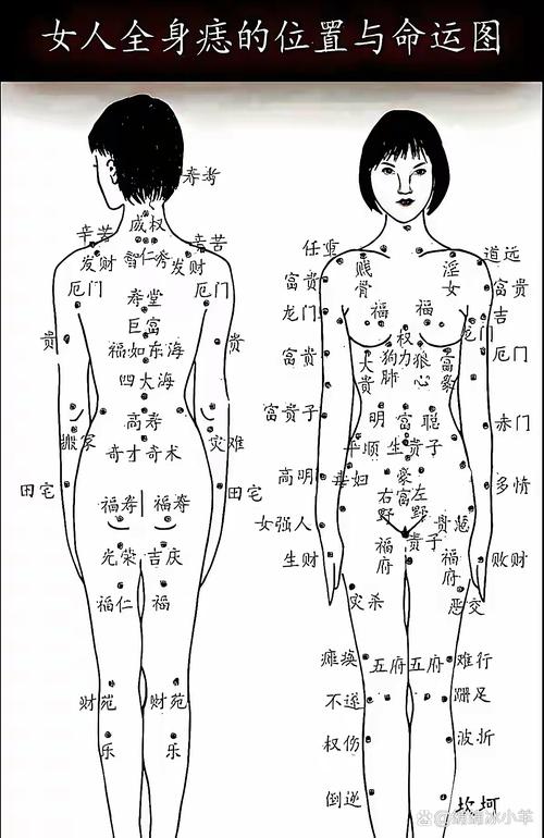 麻衣神相屁股上長痣