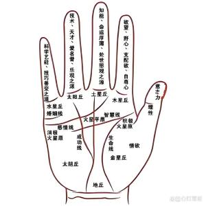 痣相分析手掌心有痣的男人，心思縝密、忠誠專一！