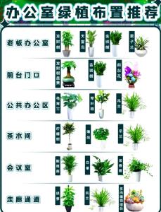 辦公桌擺放植物風水禁忌  植物不可過大