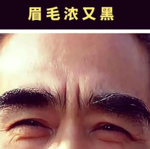 眉毛濃的男人重感情、很講義氣是真的嗎？
