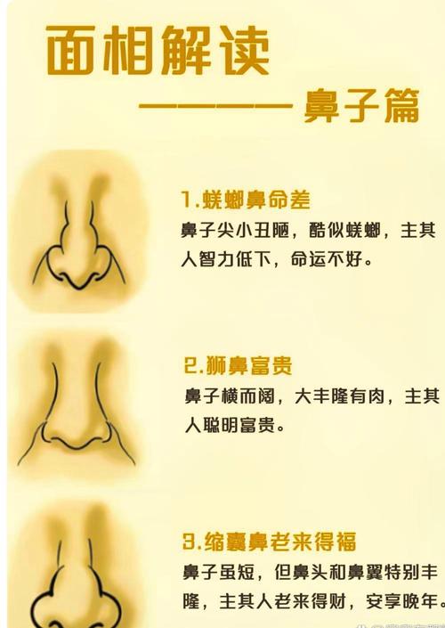 鼻梁高的女人好不好 女人鼻子面相分析