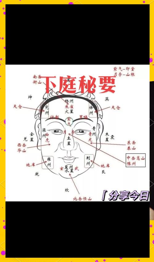 解析：額頭短面相