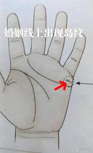 有近親結婚的可能！婚姻線上有島紋好嗎？