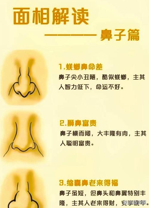 什么樣的鼻子是富貴鼻 有何說法