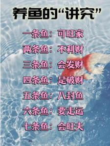 風水魚應該養幾條才好?
