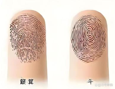0斗10簸箕
