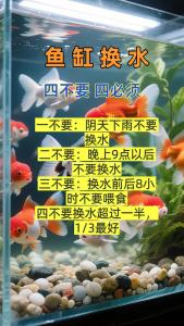 養魚的水要經常換嗎？？