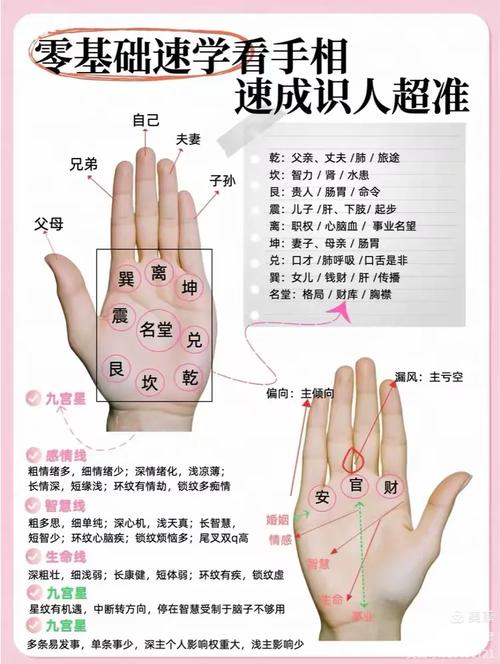 看手相預(yù)測生男生女