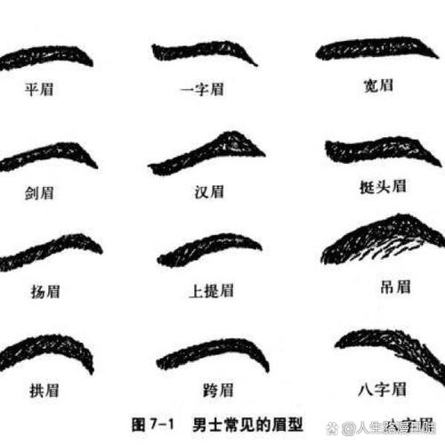 眉毛的長勢 如何判斷男人前途