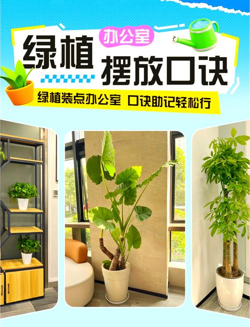 辦公區綠植擺放的風水  位置有講究