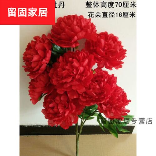 什么干花適合放在客廳最旺家 紅色牡丹最旺家