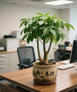 辦公室招財樹放哪里最旺財 辦公室招財擺件