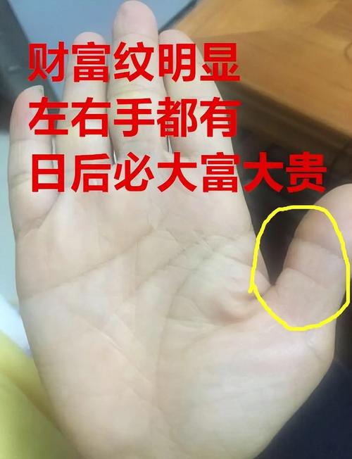 感情線上有井字紋的人有經商頭腦，一生生活無憂！