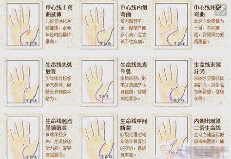 女人智慧線分叉好不好？商業才能十分出眾！