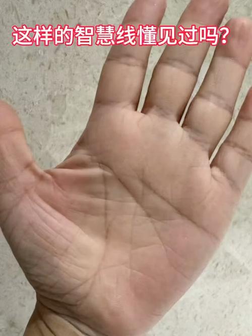 手相智慧線很長的人有大智慧是真的嗎？
