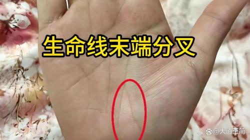 女生生命線從中間分叉