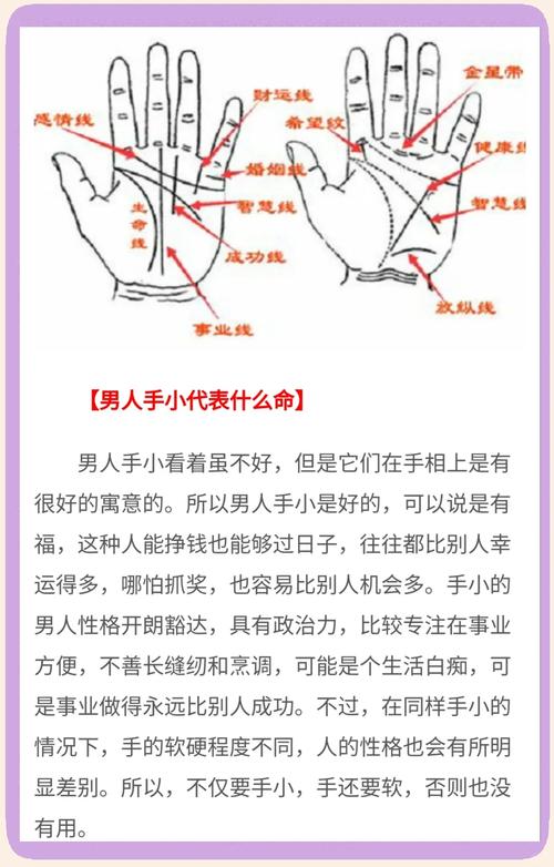 面相圖解 手小腳小的男人的命運
