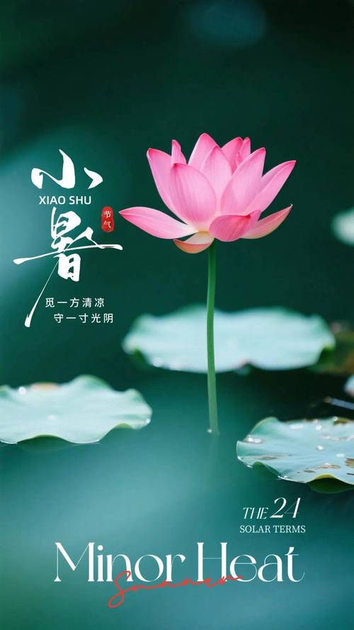 小暑節氣的物候特征 炎熱三侯多雨時節