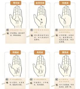 五個手指看你的財運