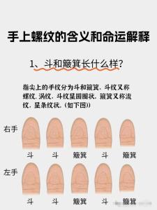 手把手教你手指螺紋怎么看