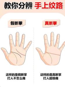 真斷掌和假斷掌的區別在哪兒？