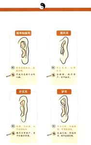 耳垂大小和福氣有關嗎,為什么說耳垂大的人有福氣?