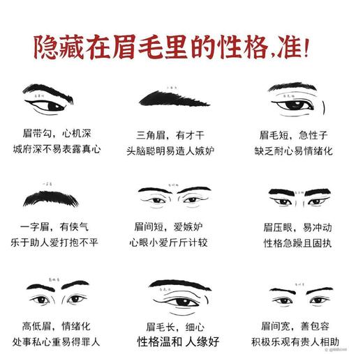 眉毛長的人性格怎么樣