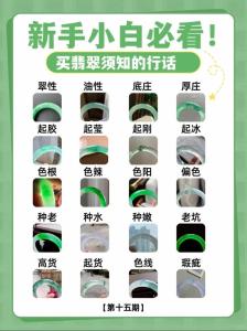 好翡翠并不難挑 懂行要先入行