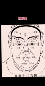 面相分析丹鳳眼的人命運