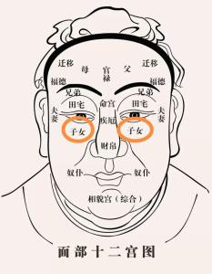 子女宮看二婚 什么樣的能得貴子
