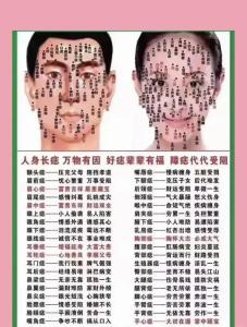 鼻子左邊有痣的女人 分析女人鼻子不同位置痣的寓意