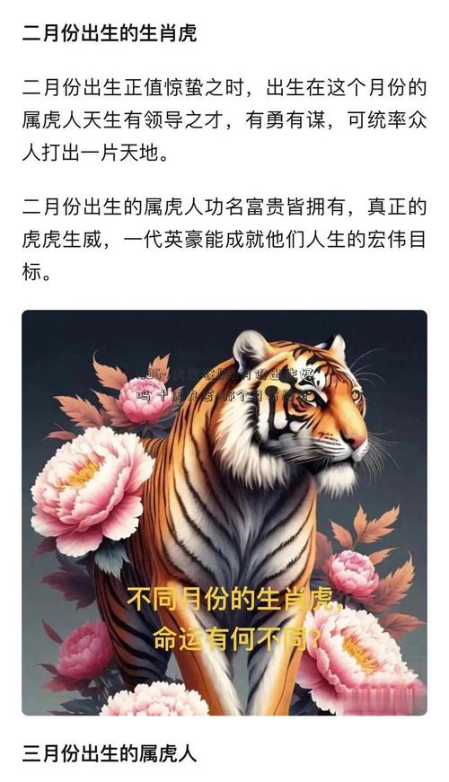 九月出生的虎命運如何 屬虎的9月出生好命嗎