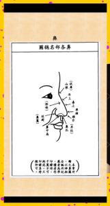 愛慕虛榮，六親無依的孤峰鼻面相解析