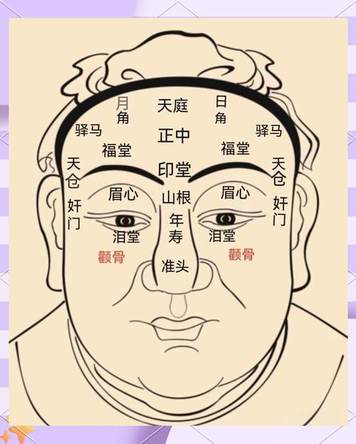 從顴骨看一個(gè)人的命運(yùn)太全了