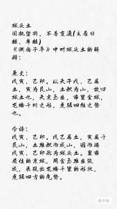 1999城墻土命什么意思