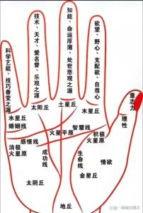 從太陽線的特點看人的天分